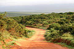 addo IMG_3906.JPG